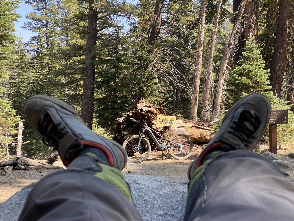 D1515AED-517F-4BB4-BF04-079AA857CFBC_1_105_c.jpeg
