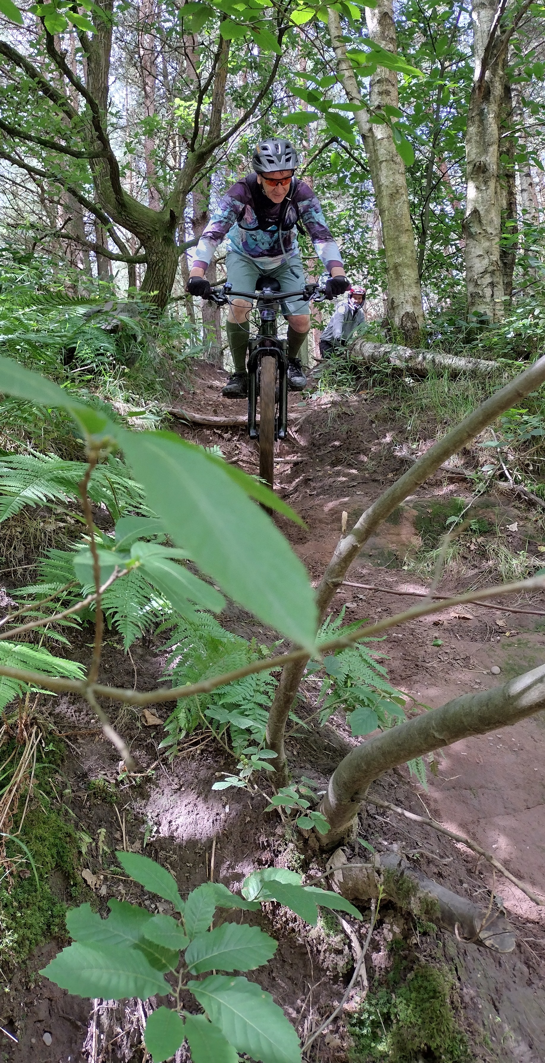 Davedog descending.jpg