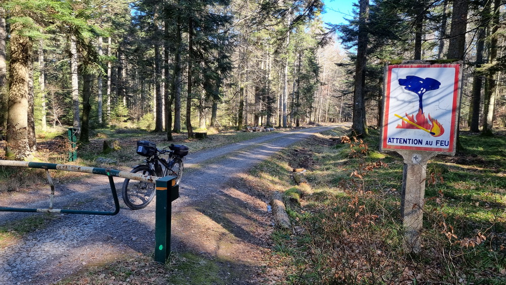 de Elmerforst au Col des Pandours  2 b  .jpg