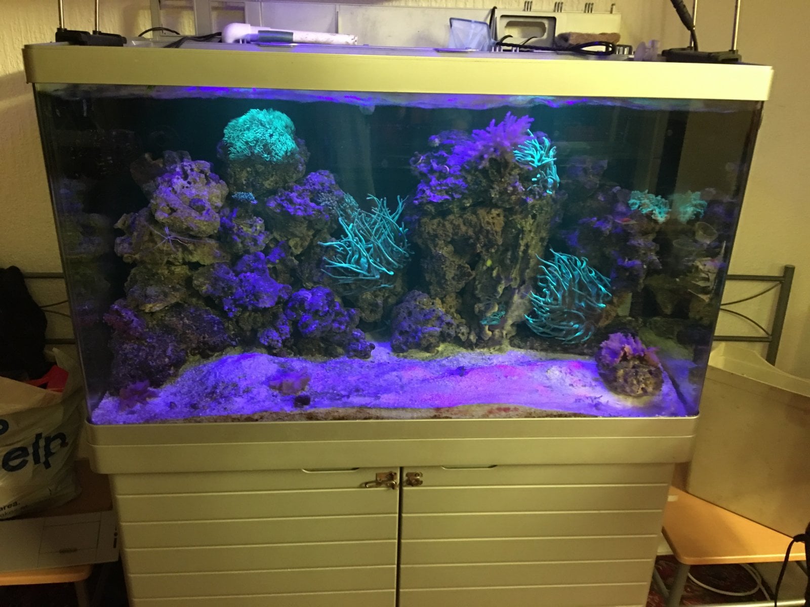 DE257E9E-2540-4B84-892E-E0047757D205.jpeg