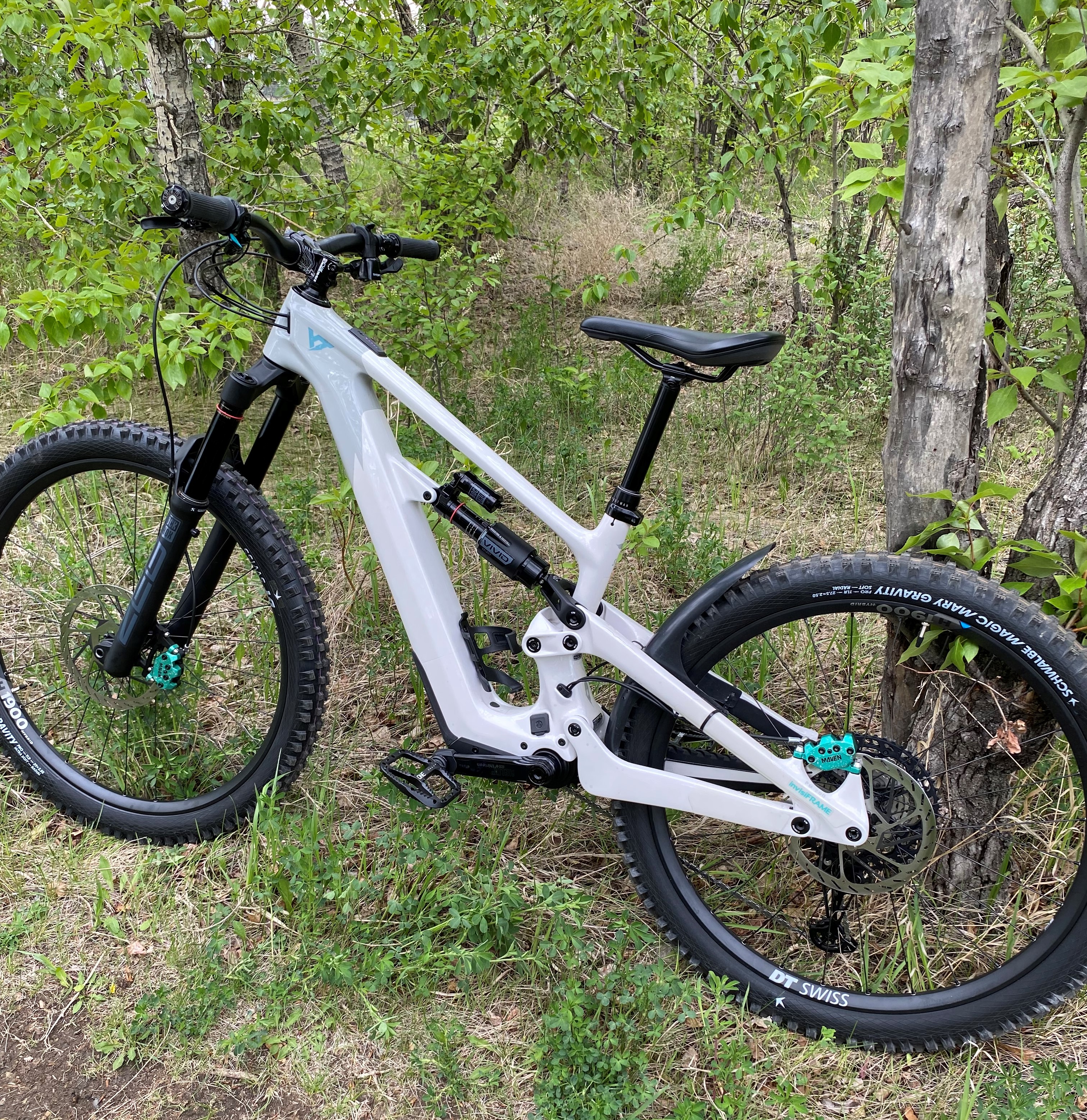 Decoy SN MX.jpeg