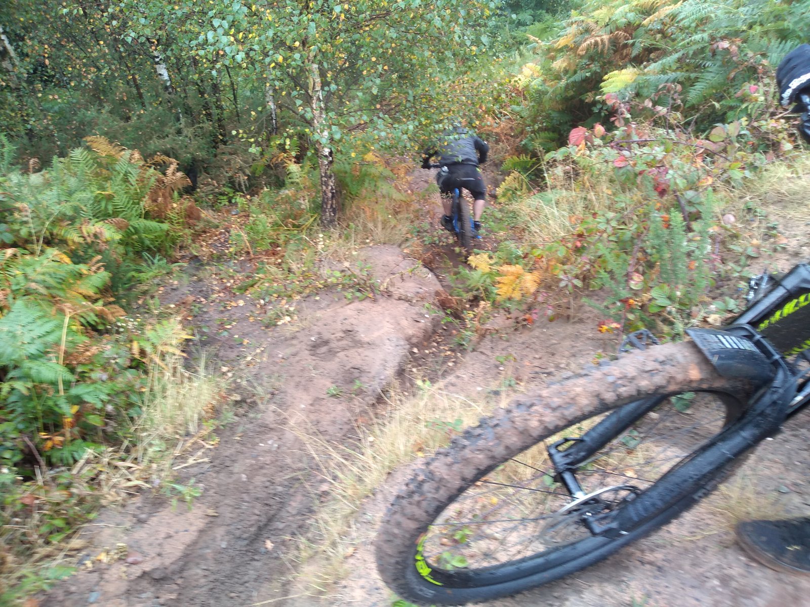 Descending or climbing.jpg