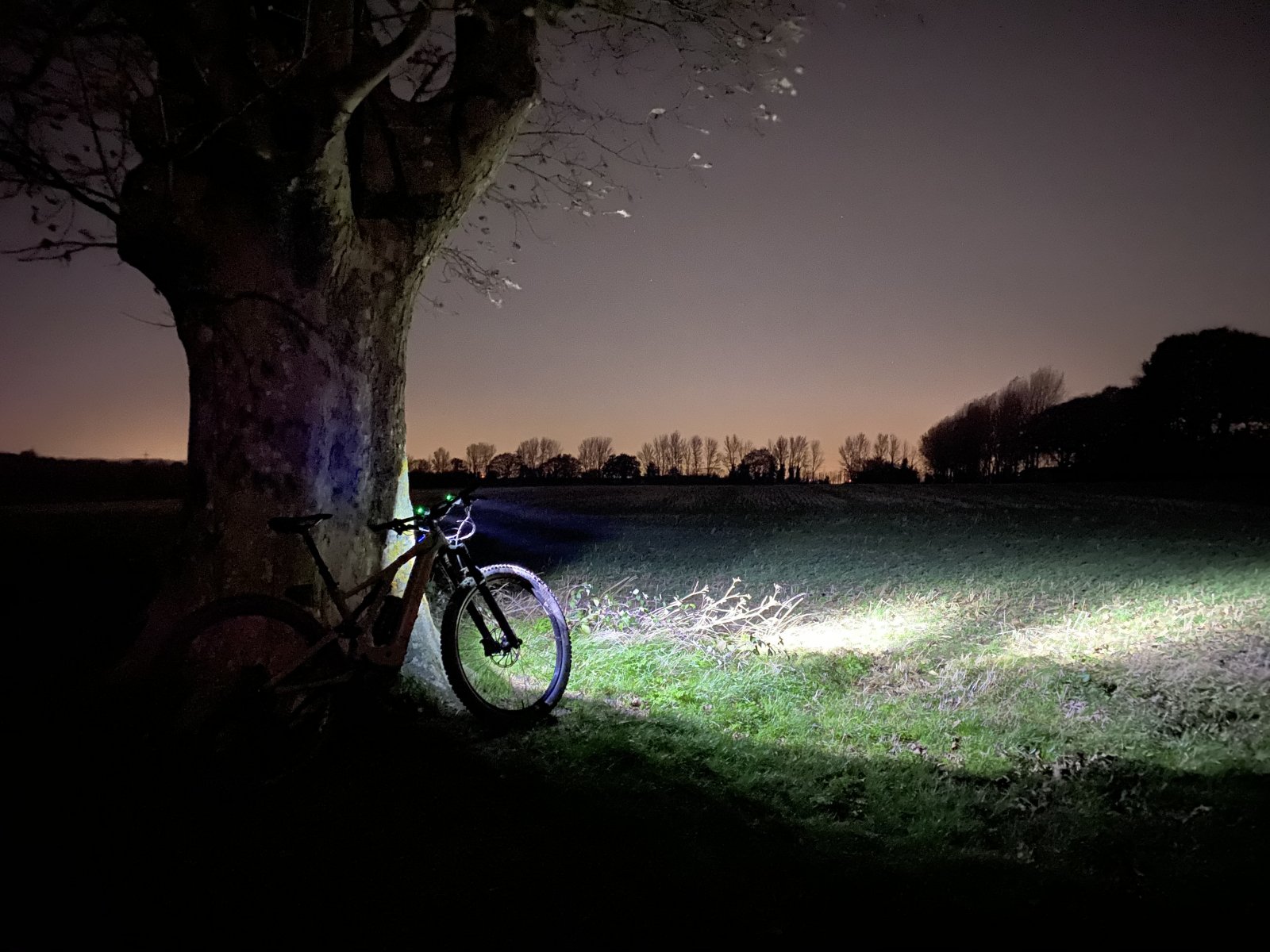 DF070DA6-F3A4-4201-A02F-141E9D593263.jpeg