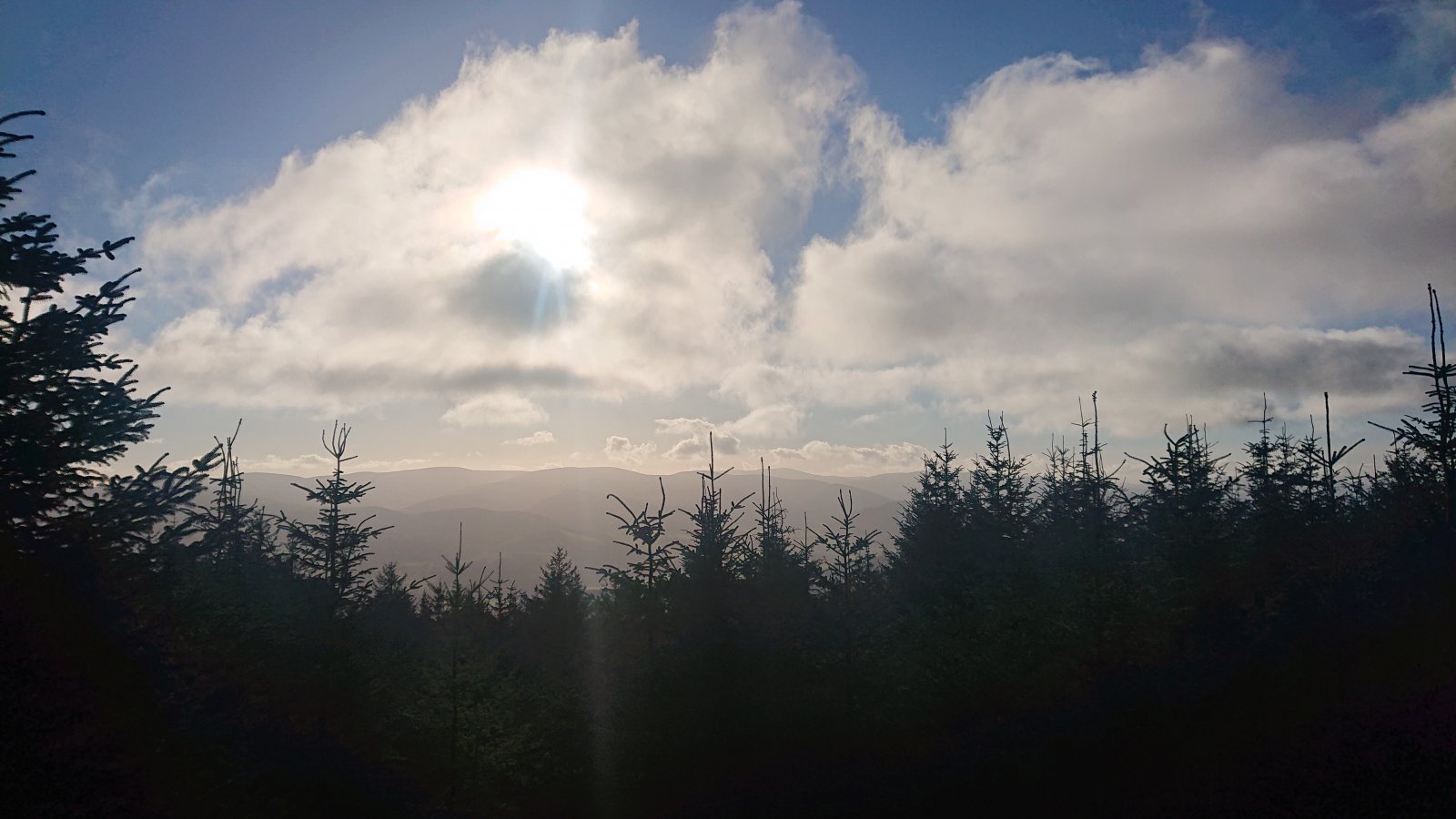 DSC_0041.JPG