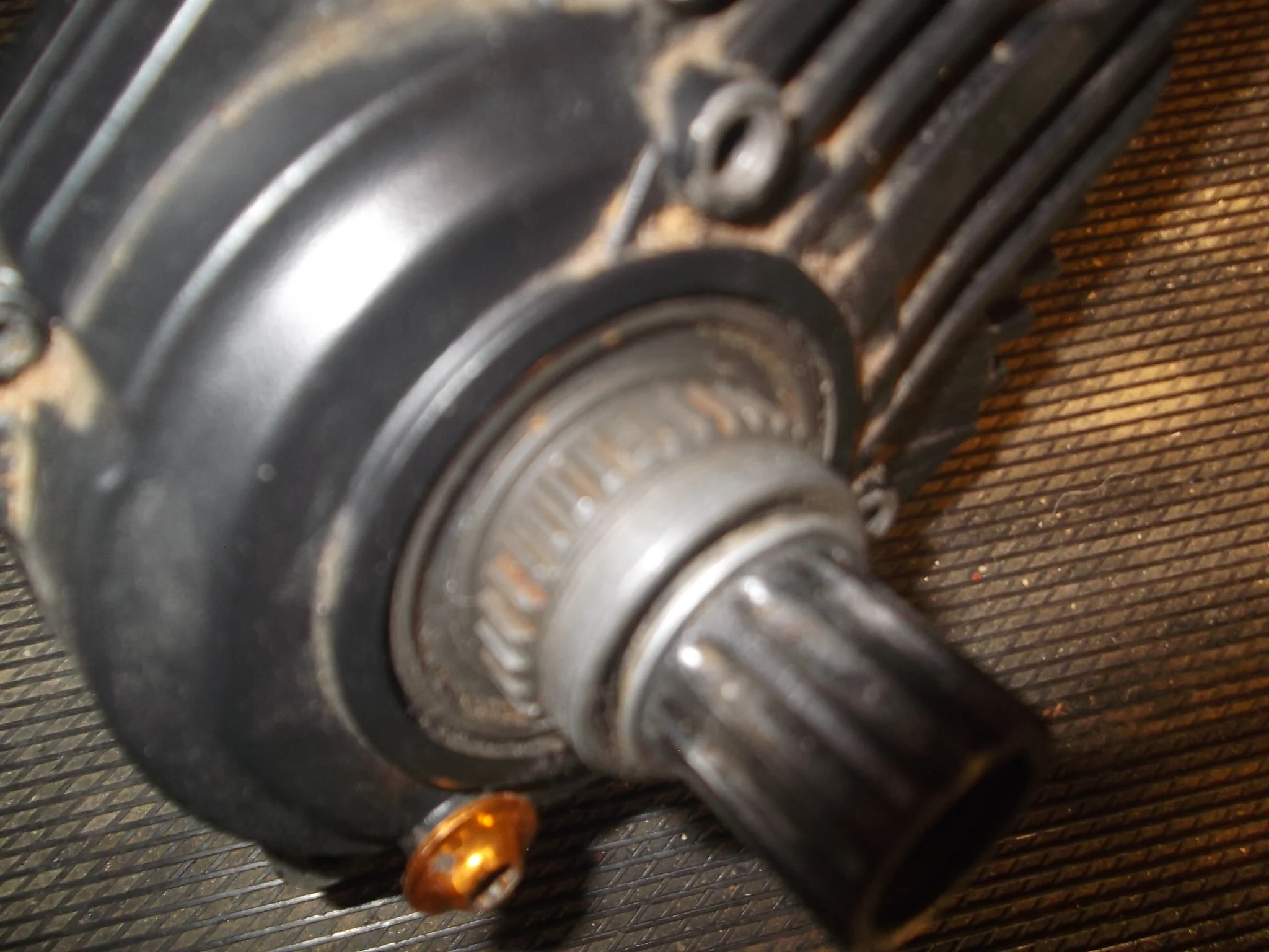 DSCF2499.webp