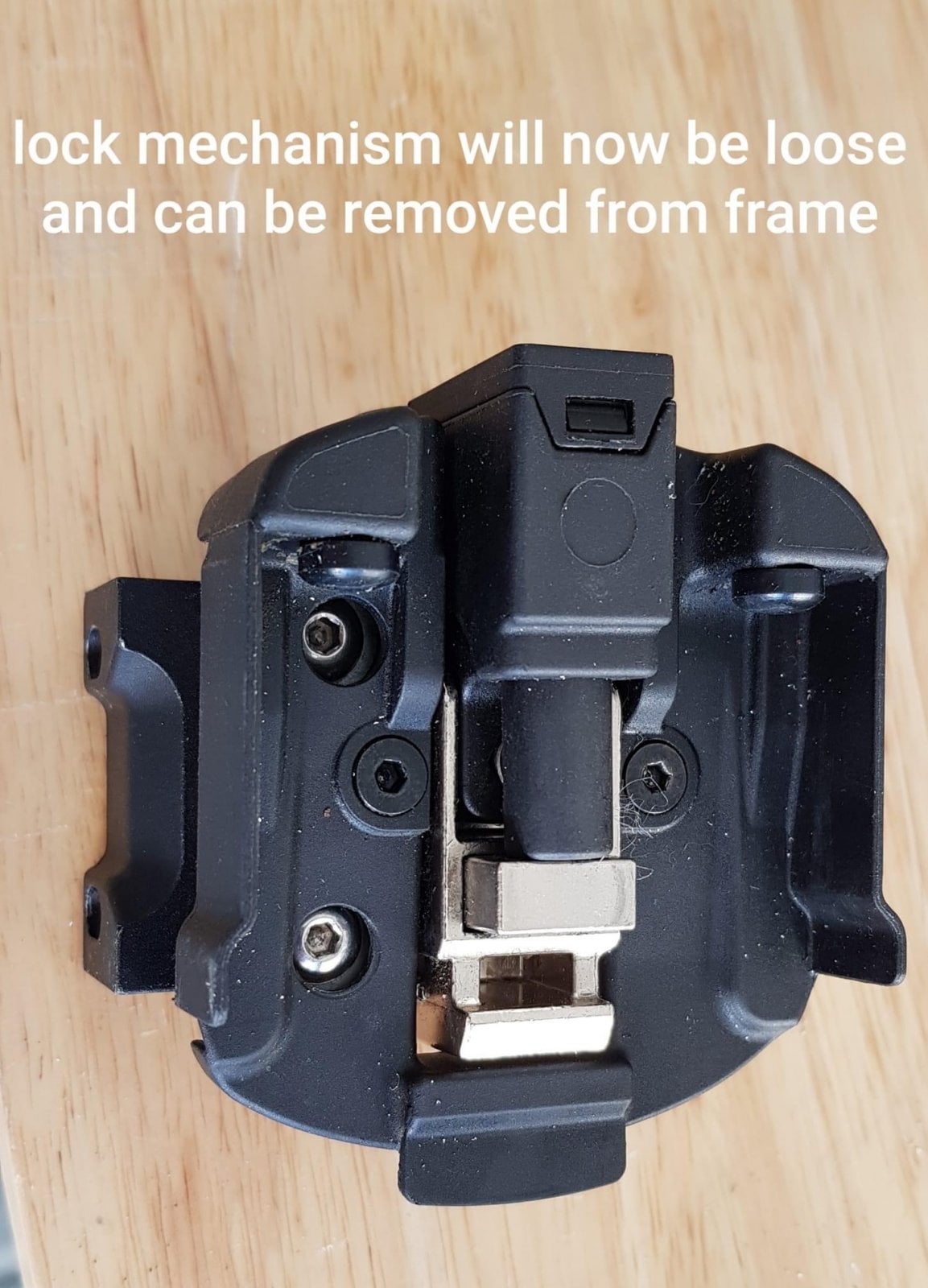 E51395B0-6C8B-4CA7-BFBC-7F86D27639EC.jpeg