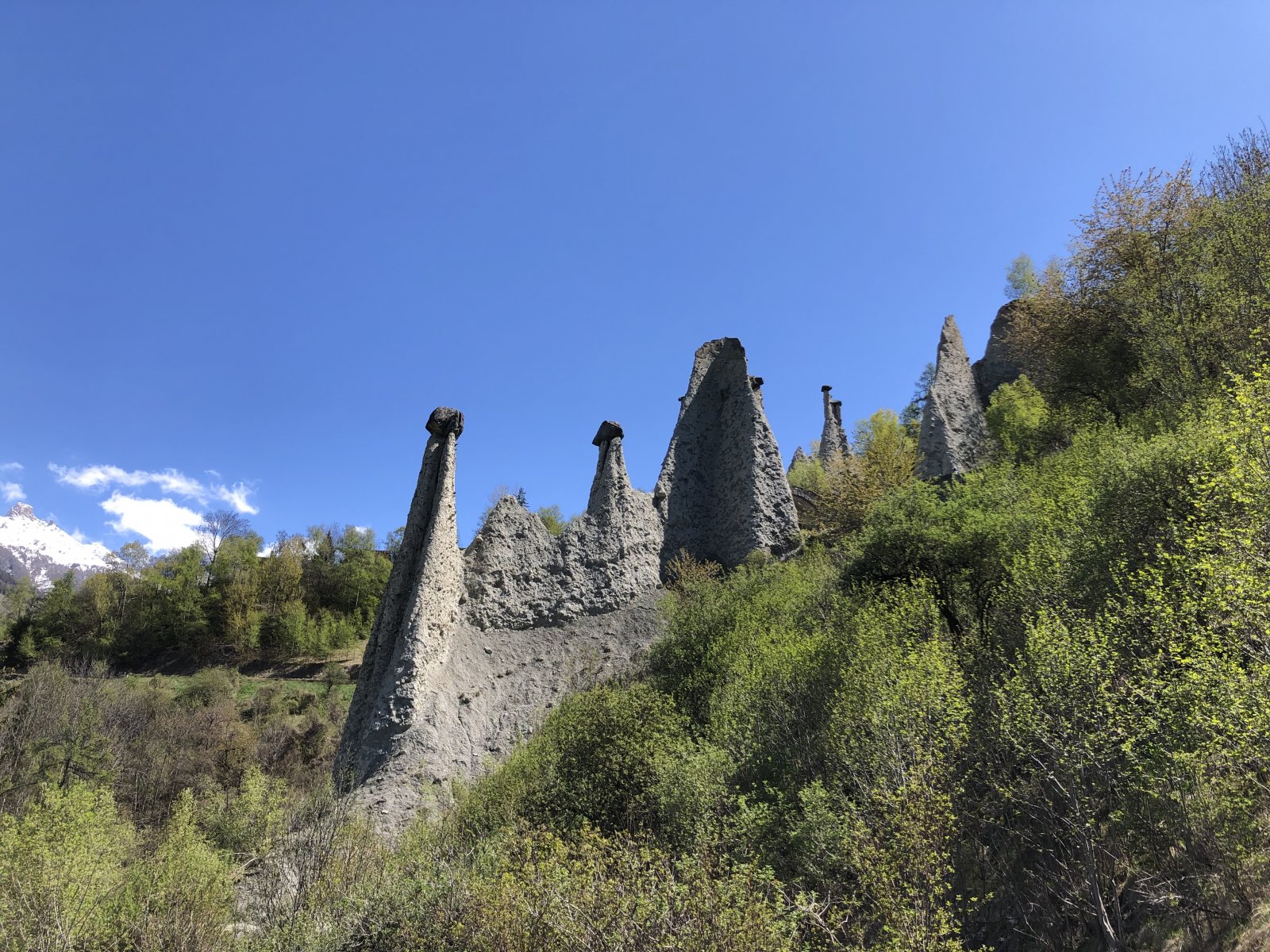 E7F983FD-26F9-4AFD-AB7D-D6E2B072C458.jpeg