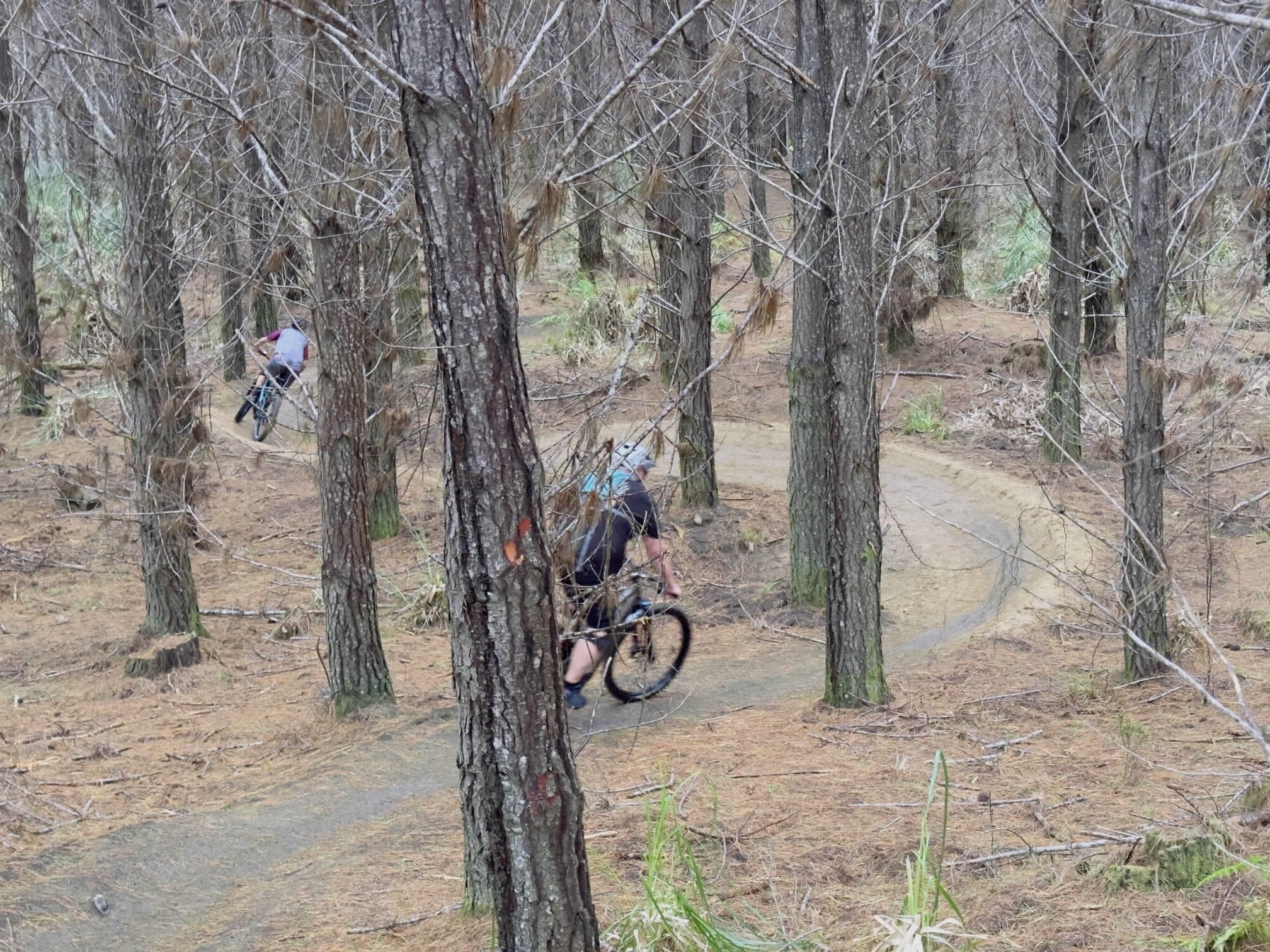 eFatboys biking Jan 26.jpg