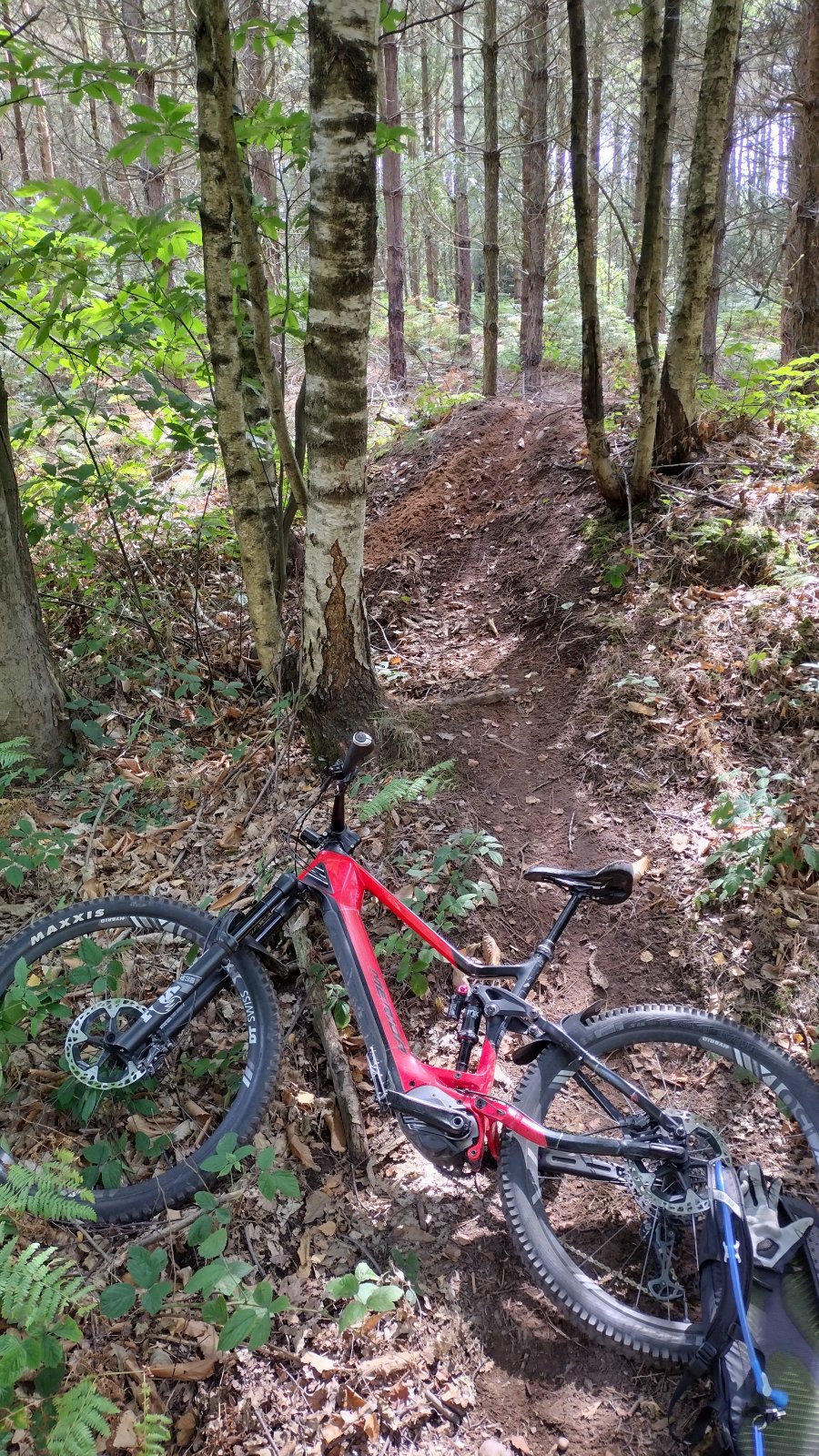 EMTB area Mound.jpg