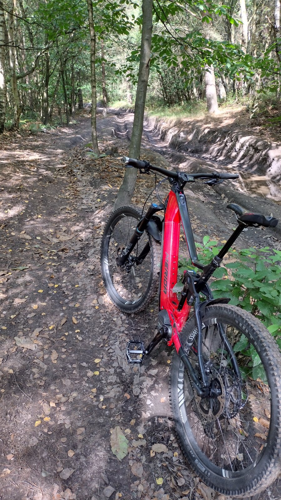 EMTB area Ruts.jpg