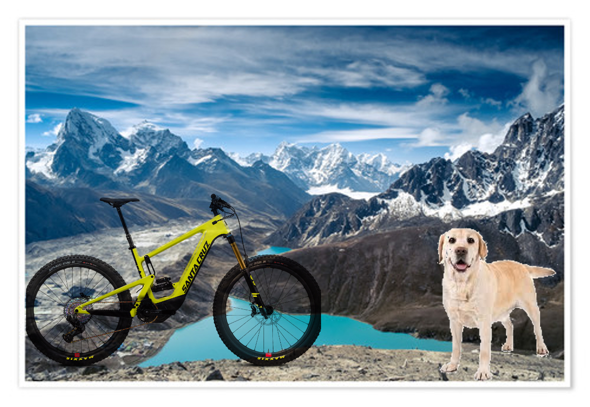 emtb.jpg