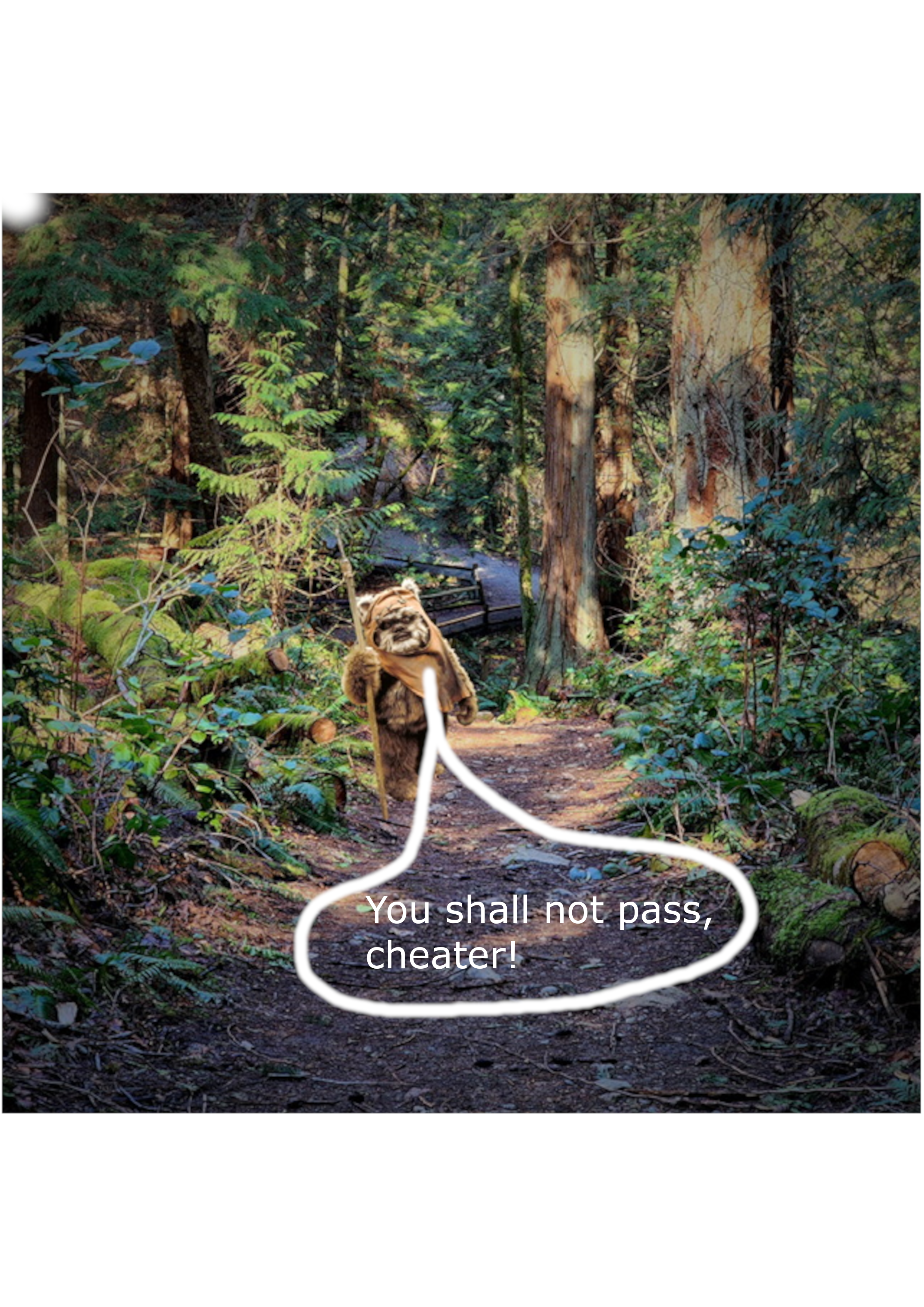 ewok.png