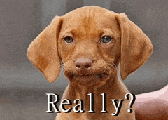 FA63536D-2356-44BB-83DE-928E20B76551.gif