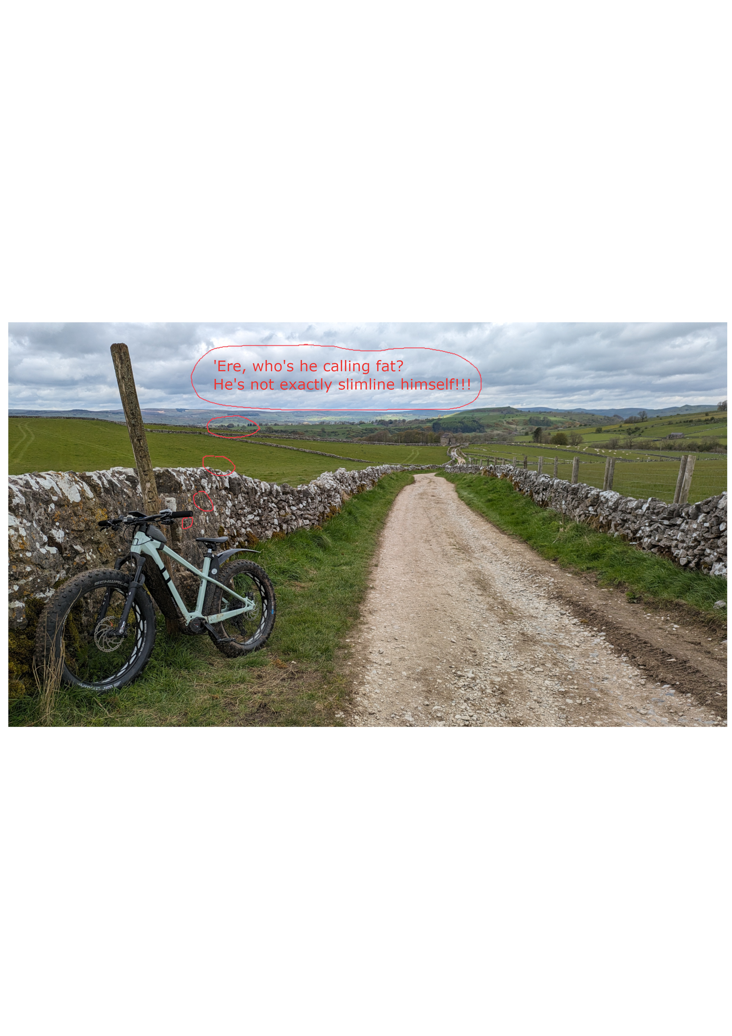 Fatbike.png