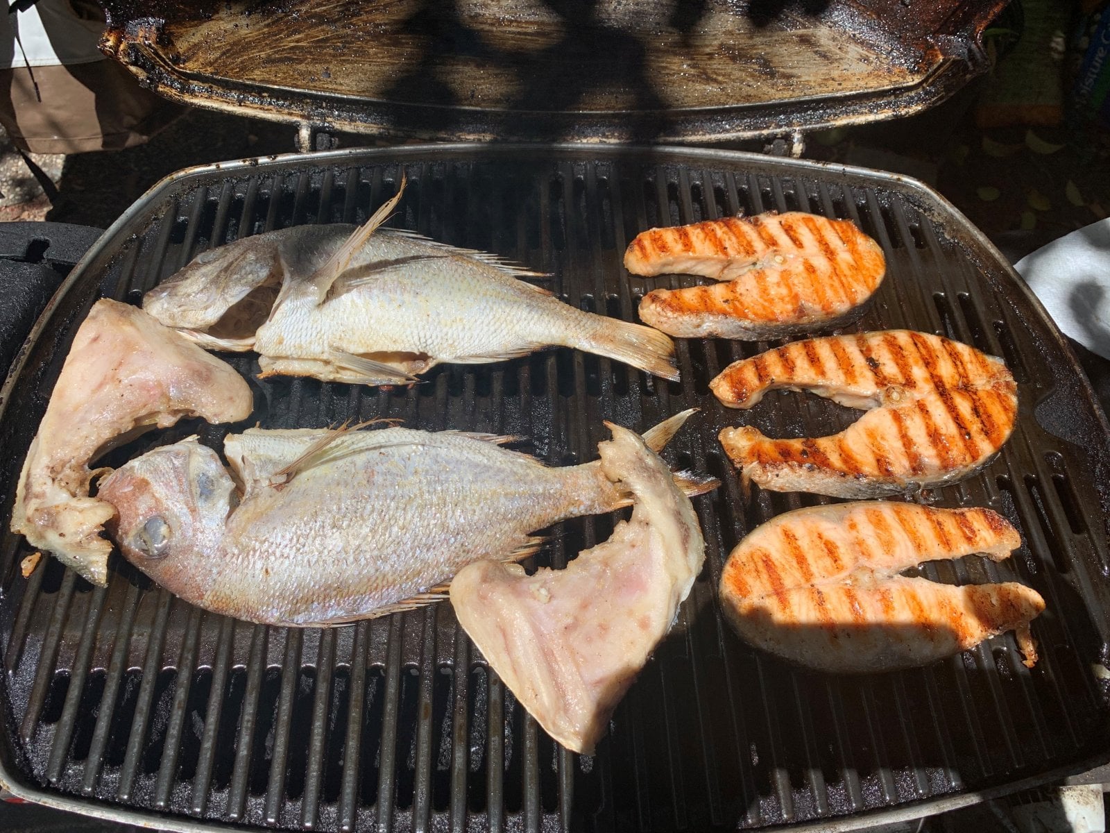fish.jpg