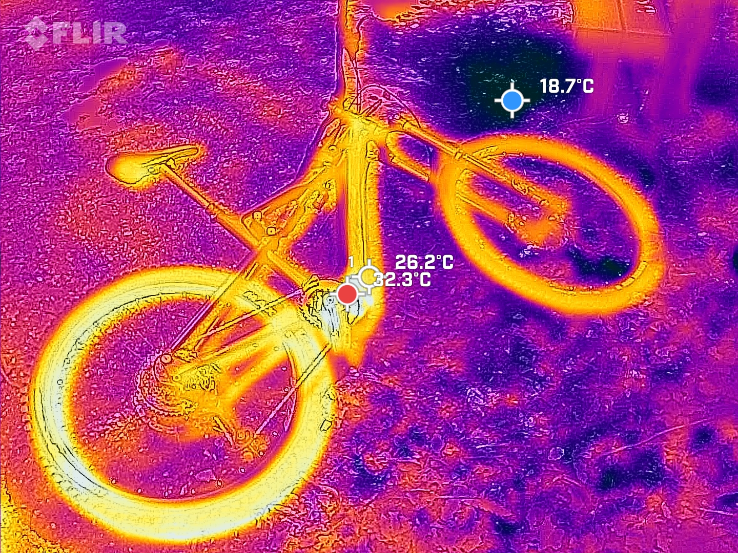 FLIR_20250608_110936_520.jpg