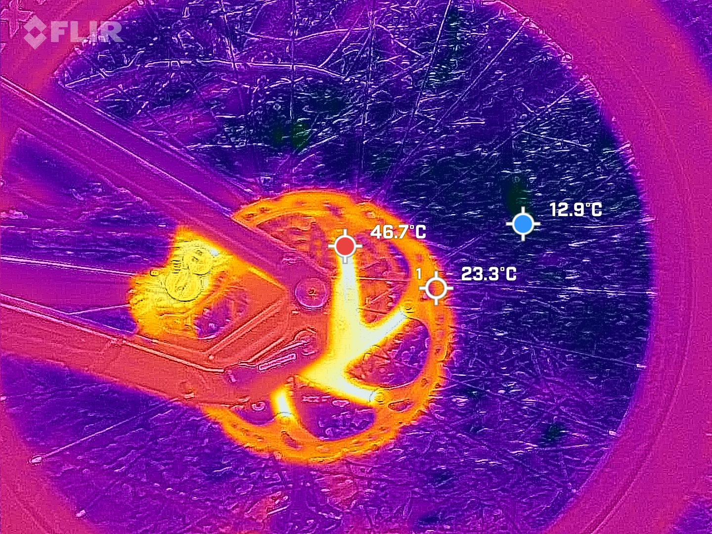 FLIR_20250608_114938_379.jpg