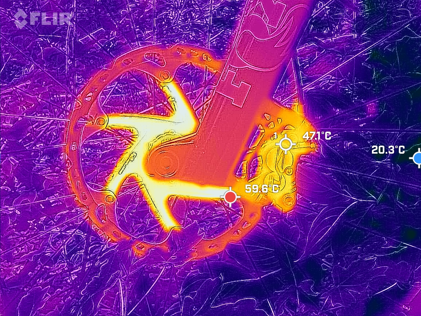FLIR_20250608_115029_081.jpg