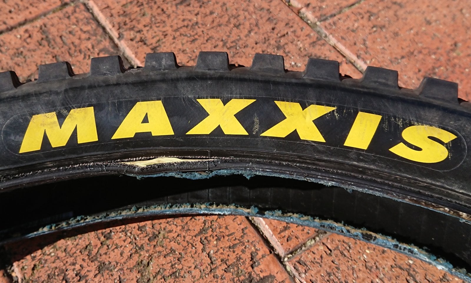 Focus Rear Tyre (2).JPG