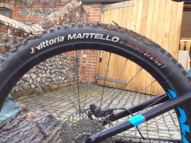 Focus tyre.JPG