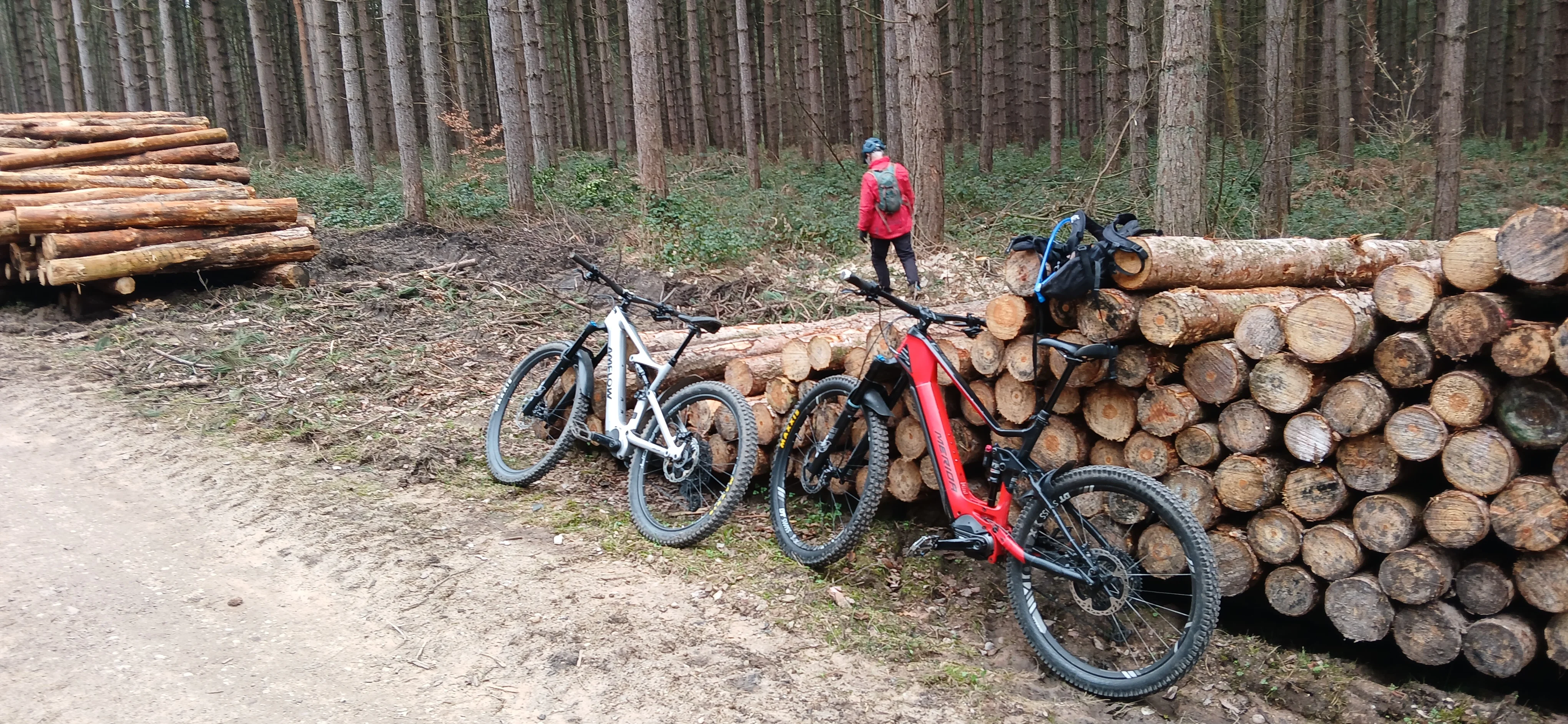 Forest clearance 1.webp