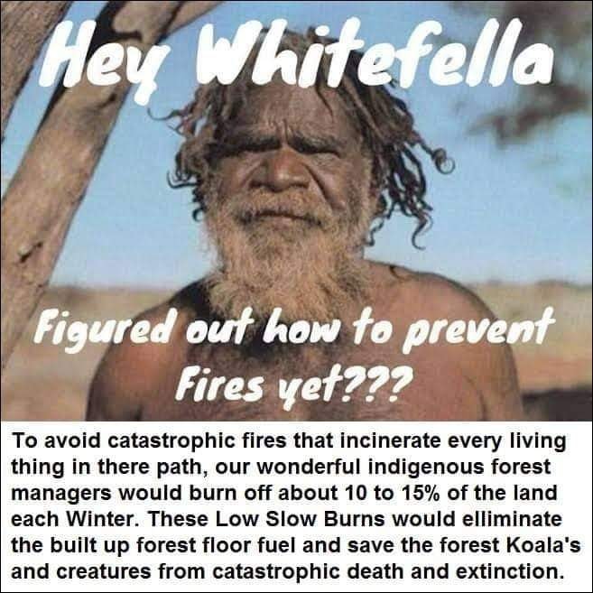 forest fire.jpg
