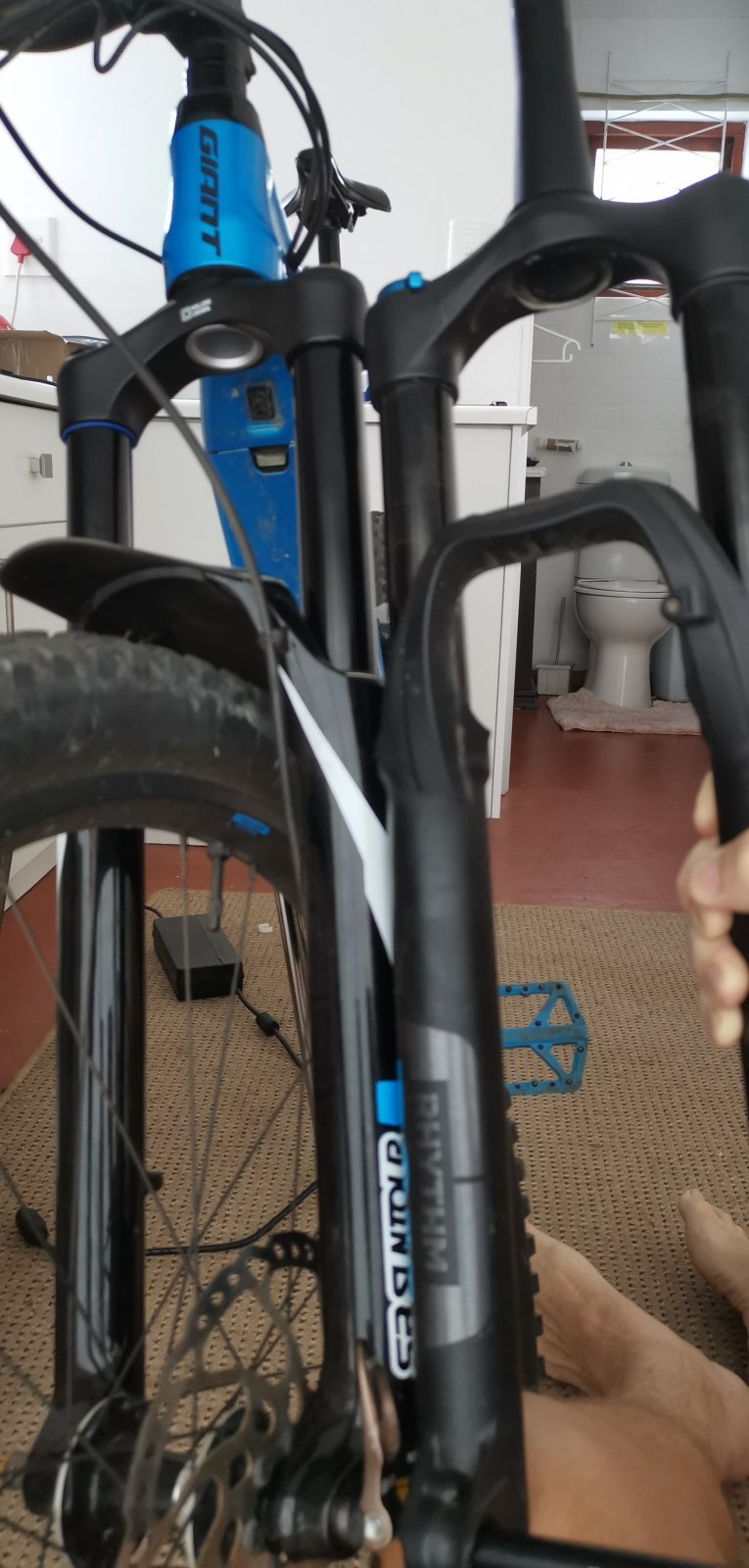 Fork comparison.jpg