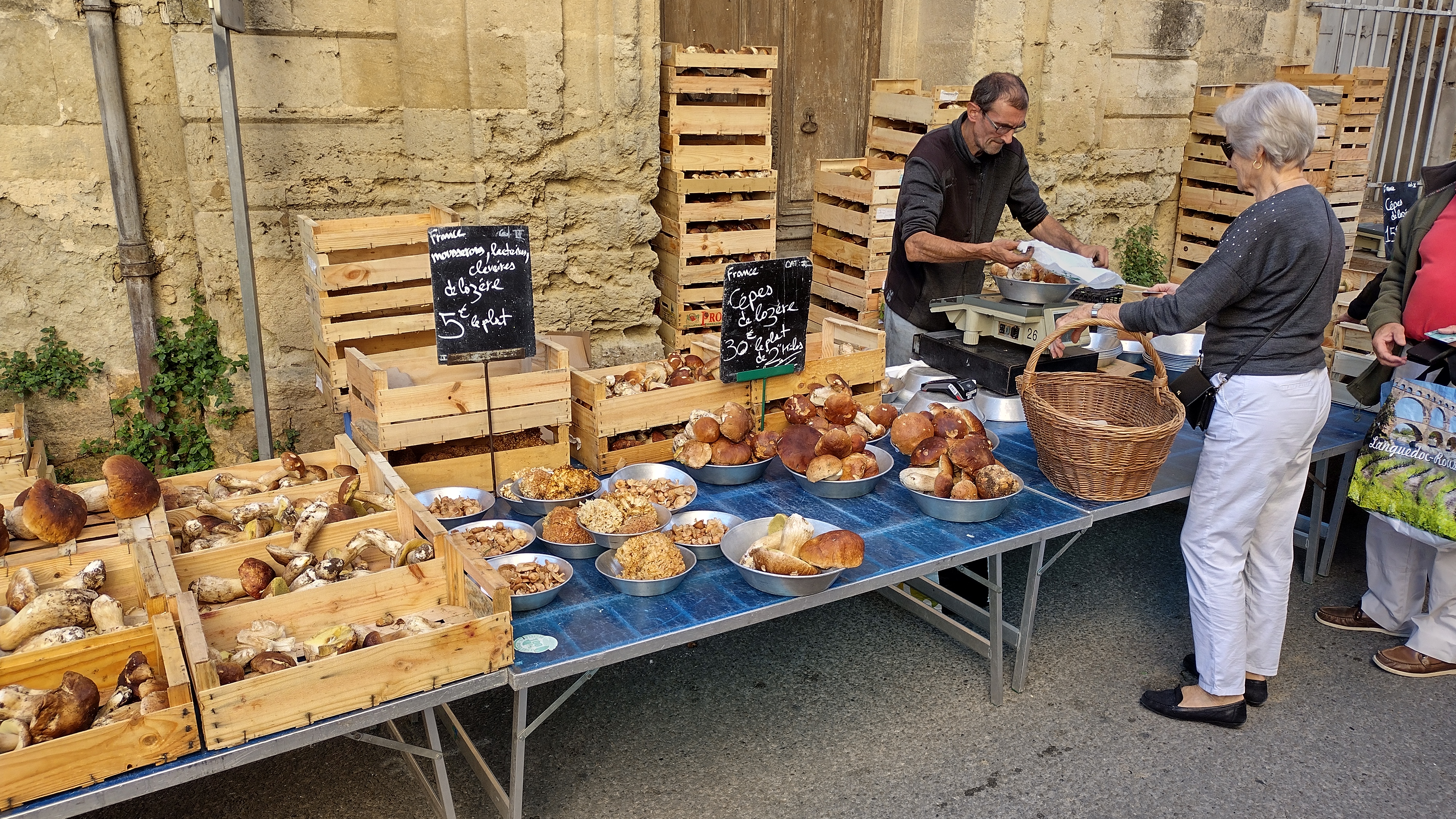 French mushrooms 1.jpg