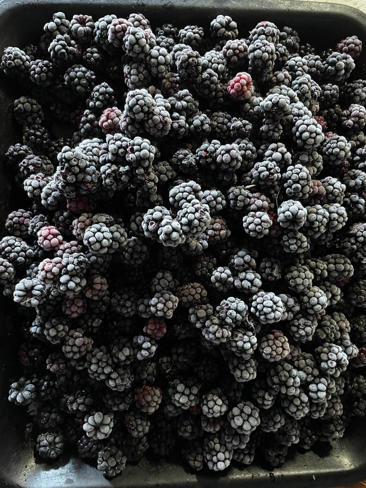 Frozen berries 8:14.jpg