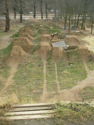 garden.jpg