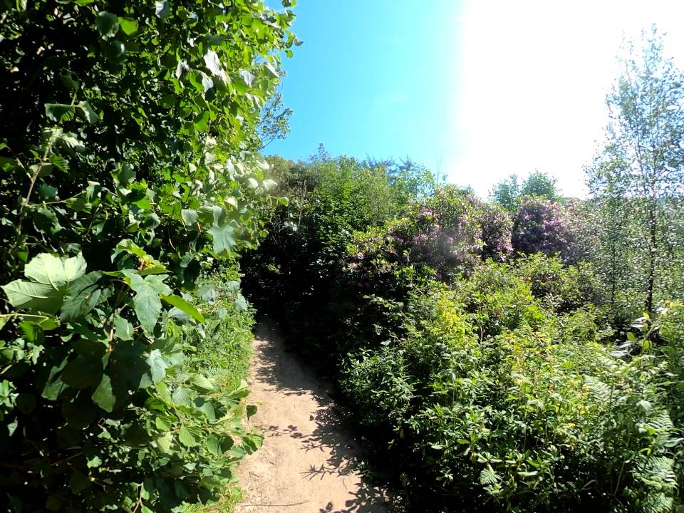 GH010118_1686767090929.jpg