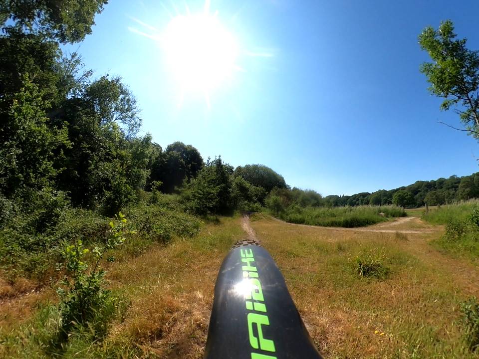 GH010125_1686767747437.jpg