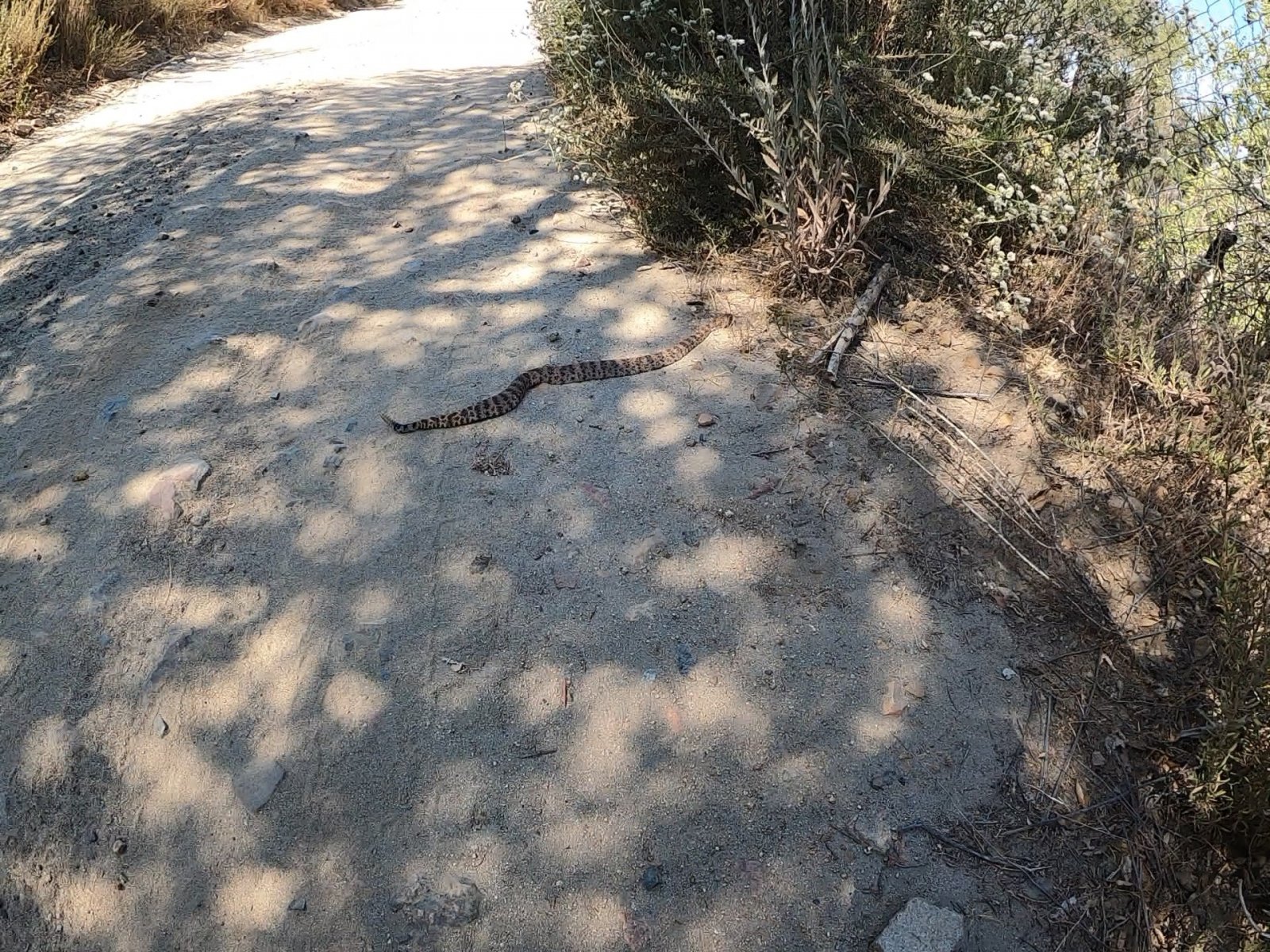 GH010318.MP4_000315.527.jpg