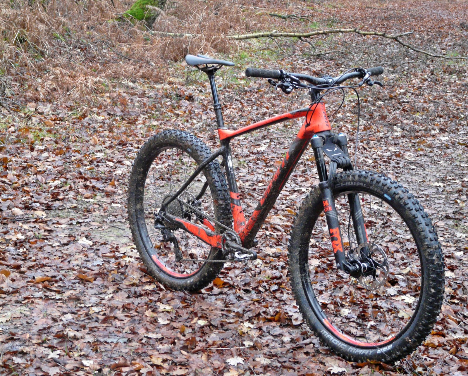 Giant zz3.jpg