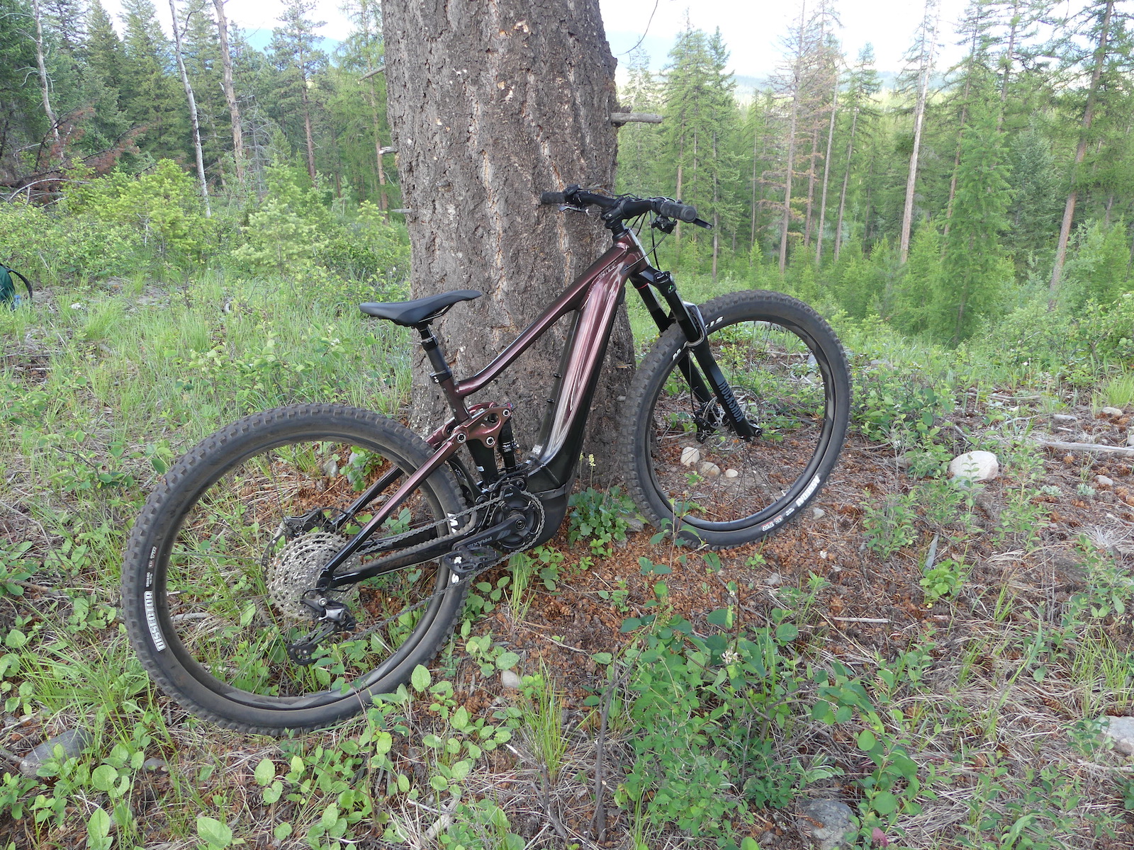 GiantTrance3b.JPG