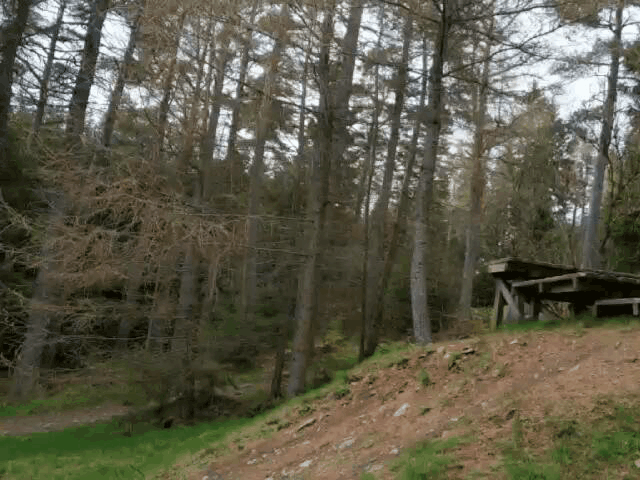 GIF-190324_233700.gif