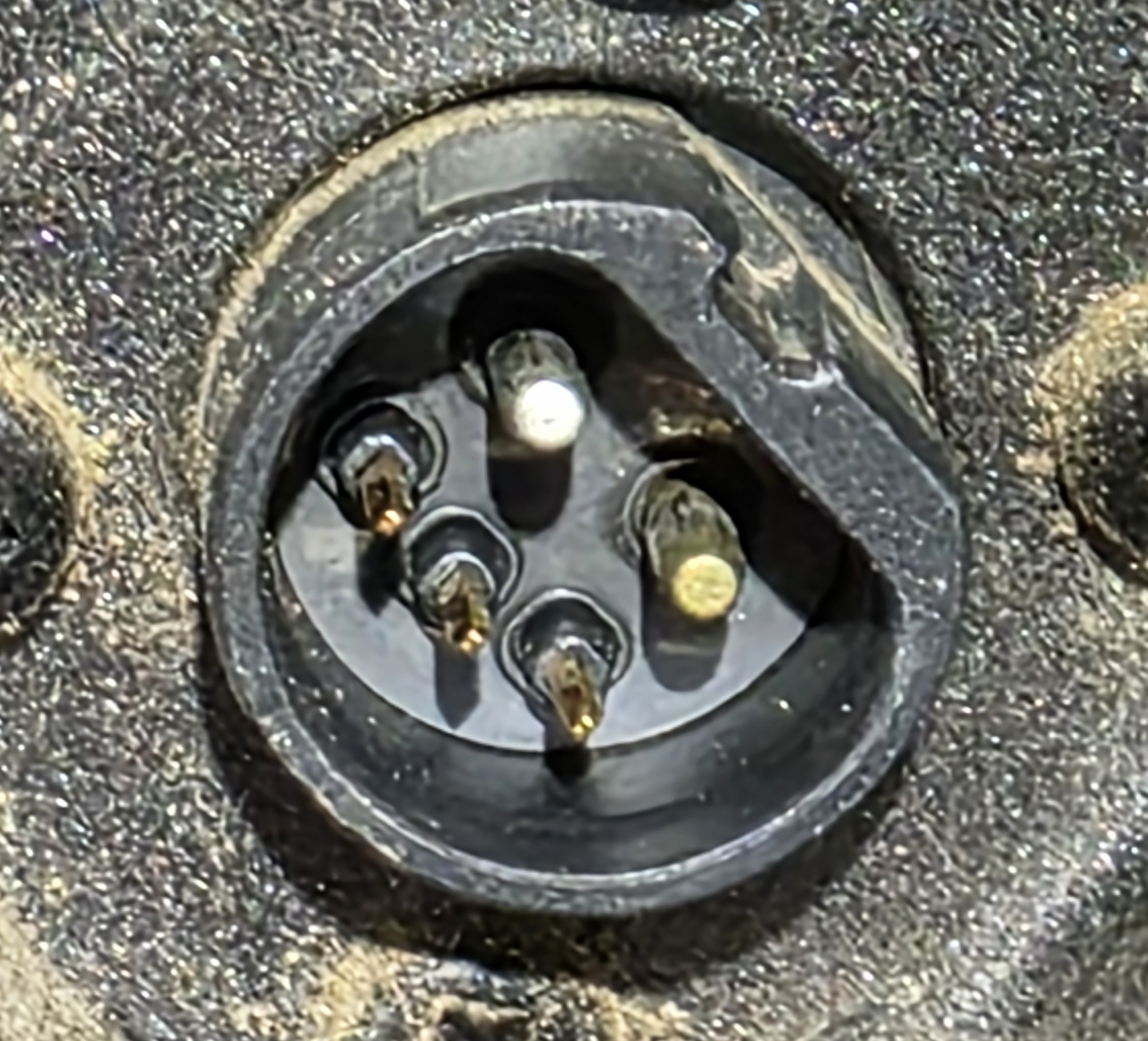 golden_pin.jpg