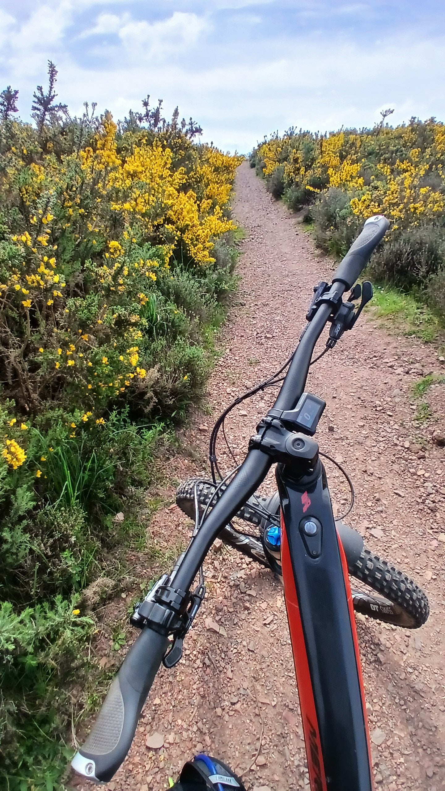 Gorse climb.jpg