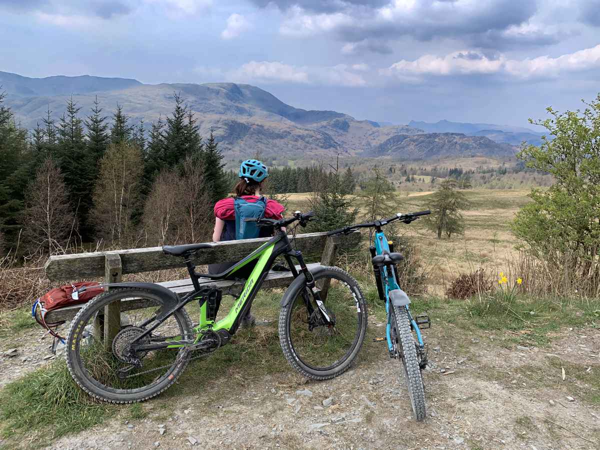 Grizedale.jpg