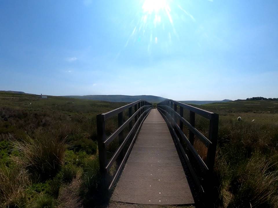 GX010131_1686917555741.jpg
