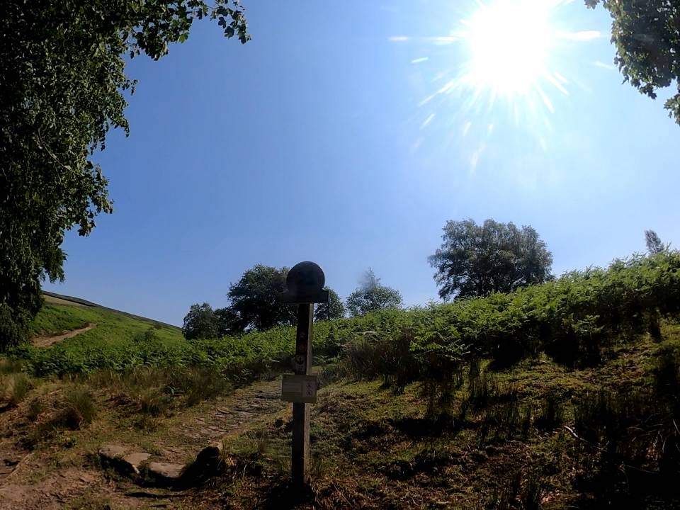GX010133_1686917770965.jpg