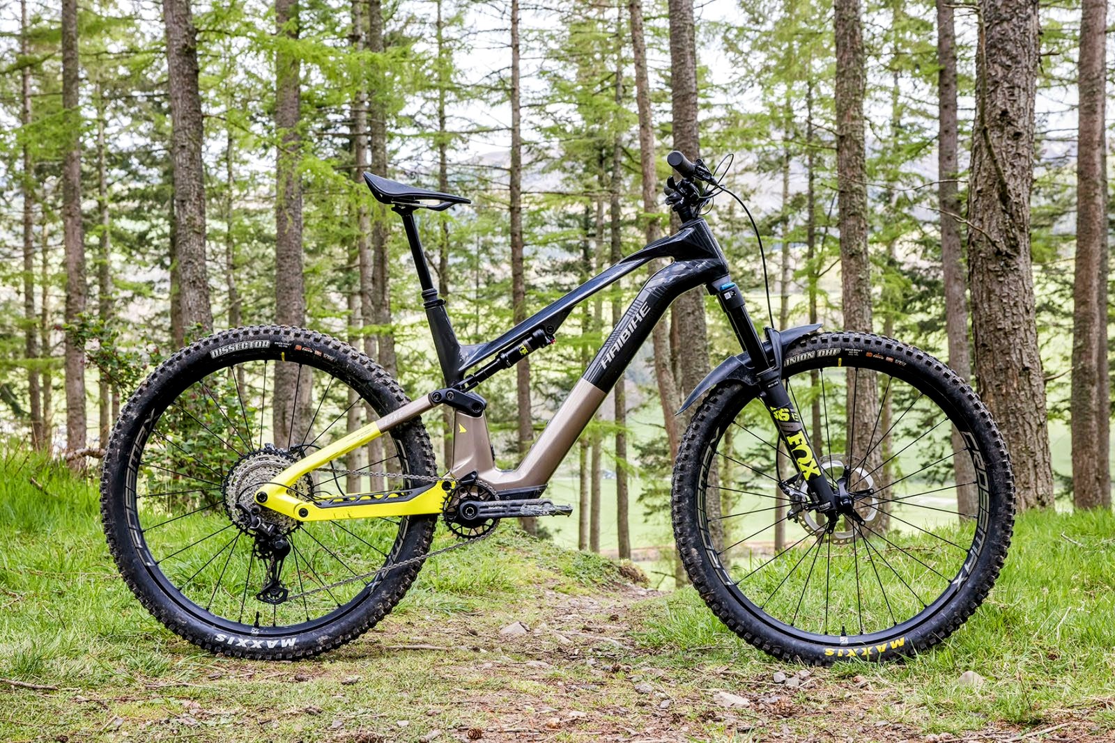 Haibike-Lyke-CF-11-11-f7daac4~2.jpg