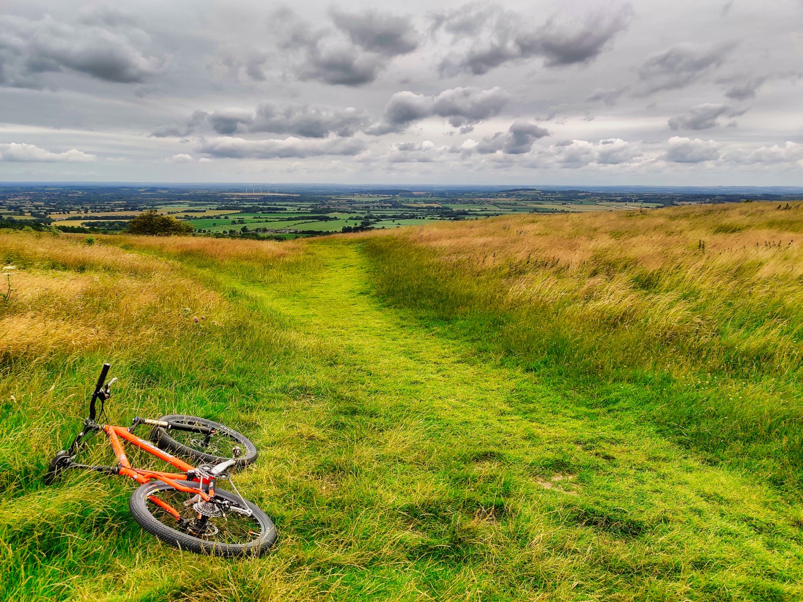 Hardtail ride.jpeg