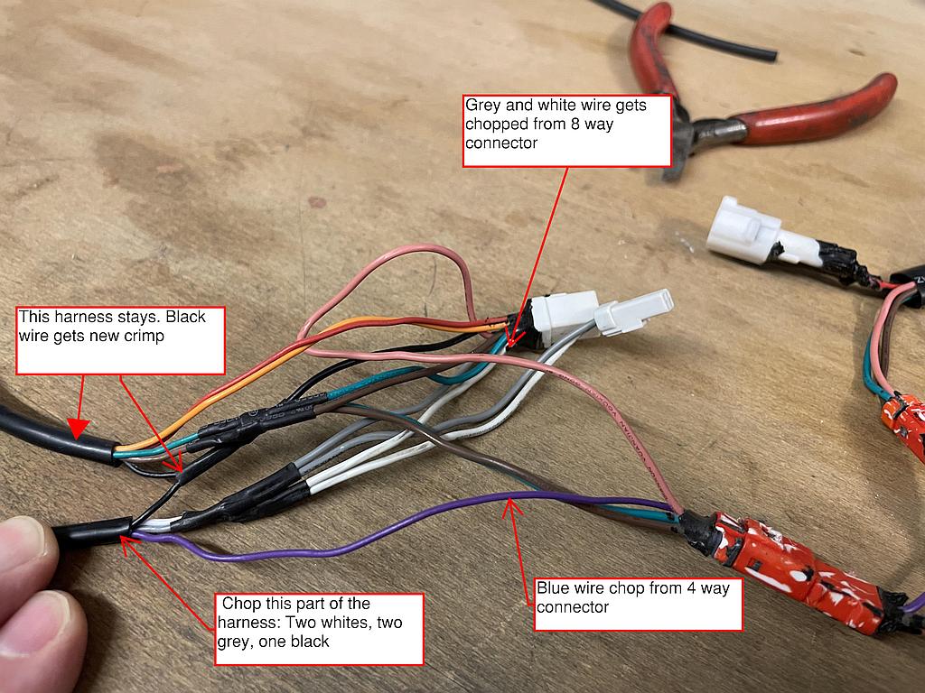 Harness 1.jpg
