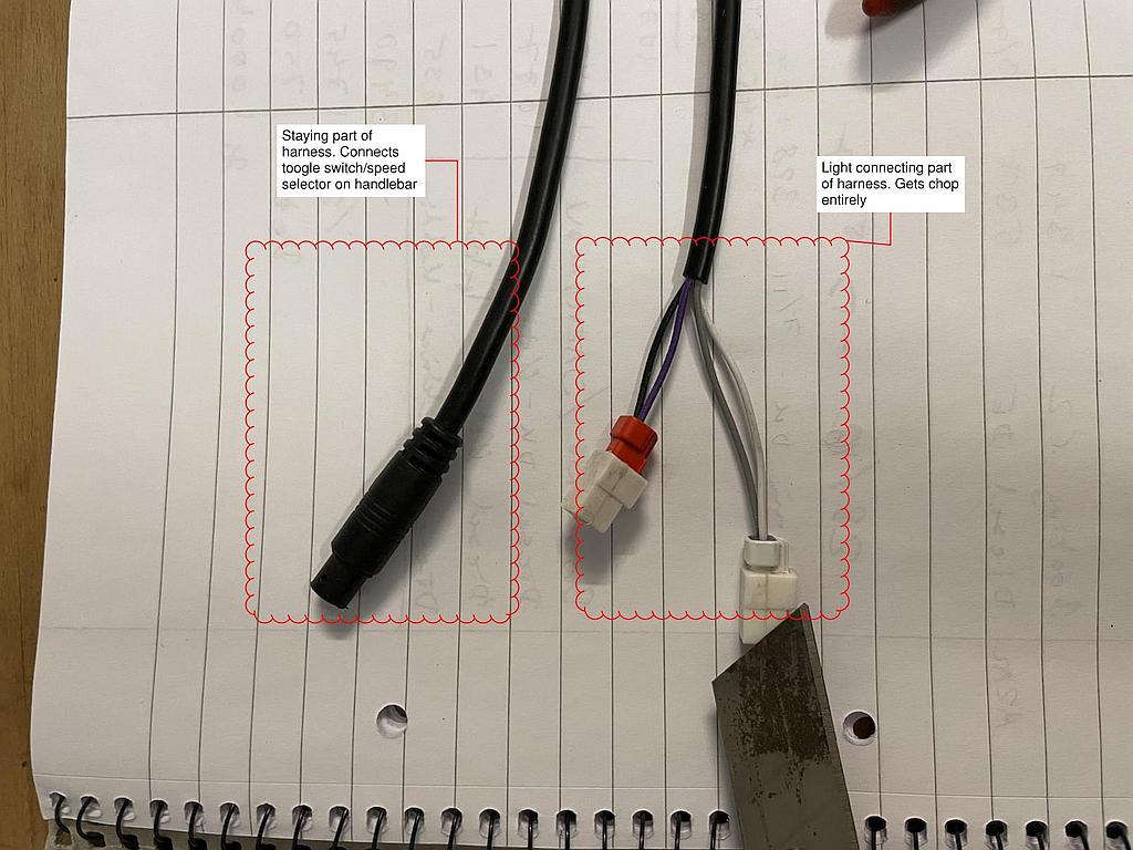 Harness 2.jpg