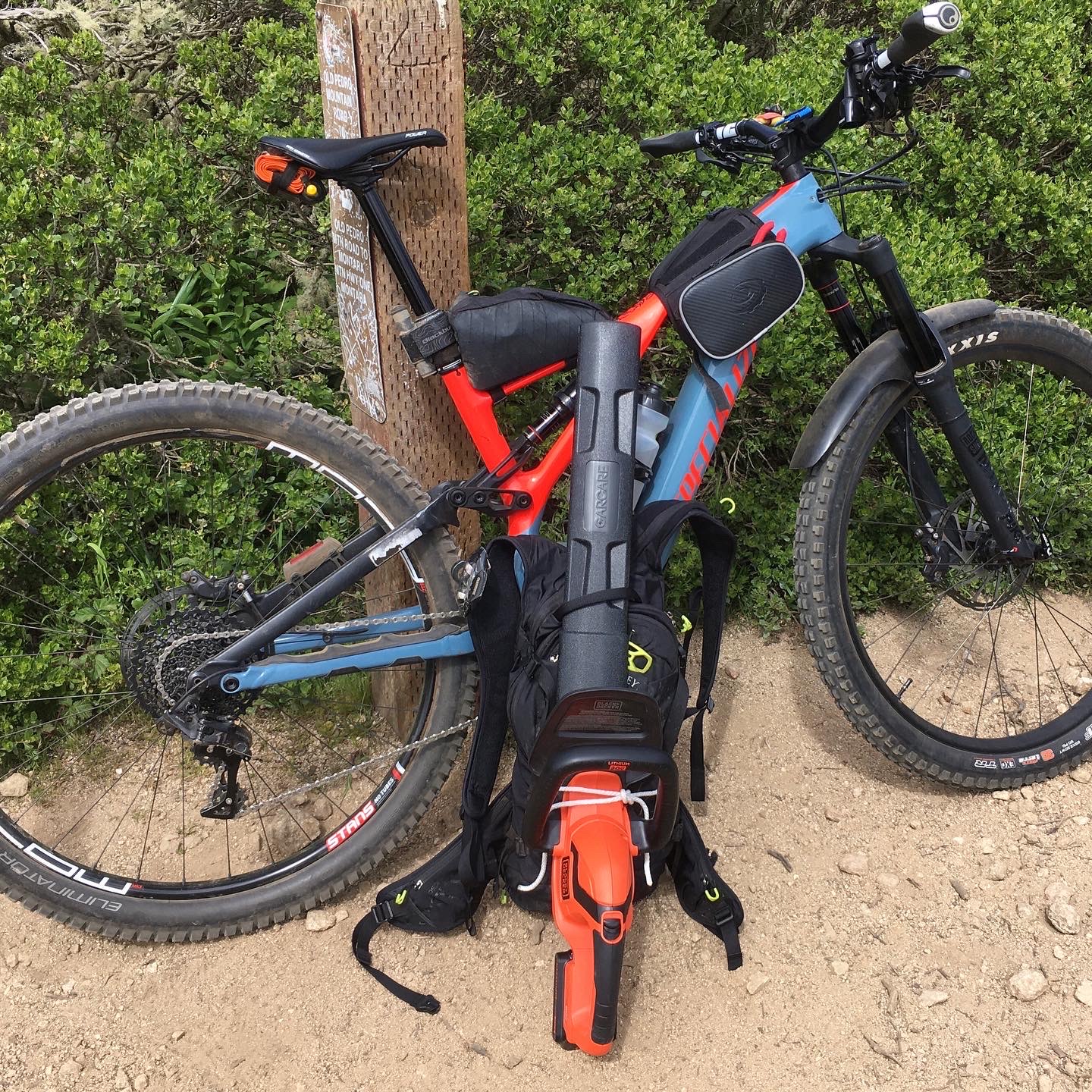 Hedge trimmer and bike.JPG