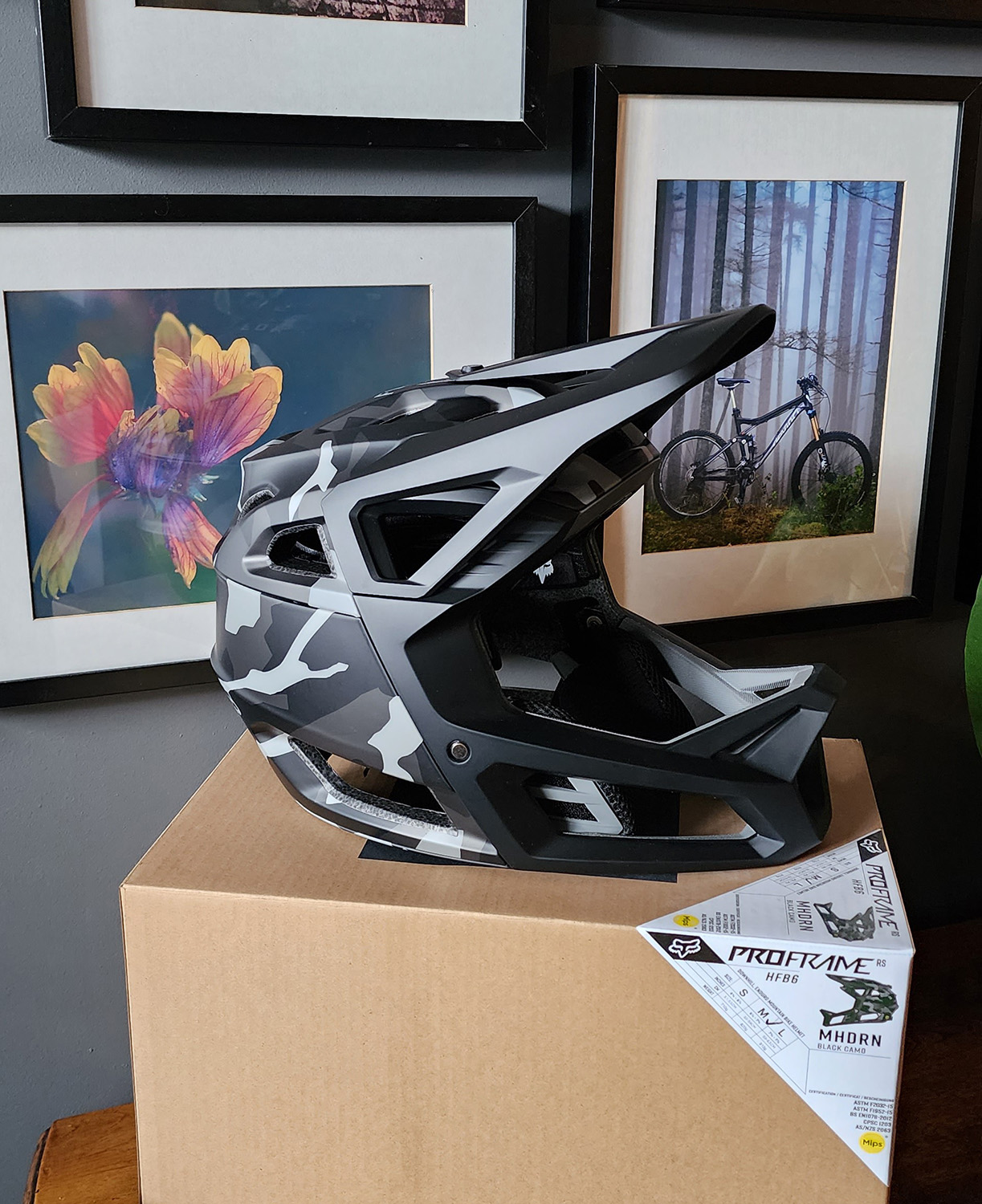 Helmet.jpg