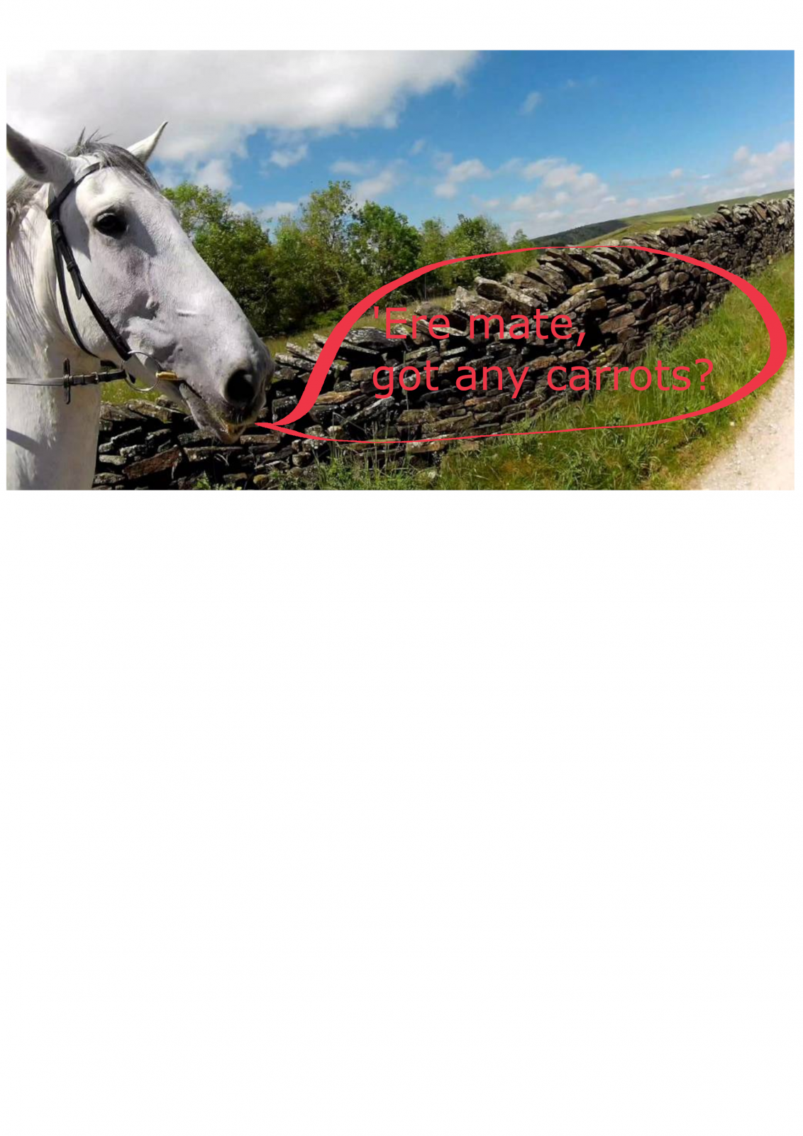 horse.png