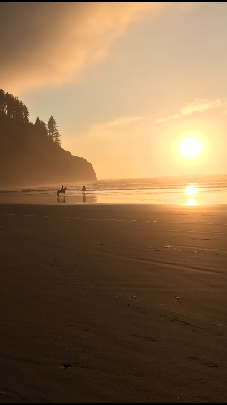 Horses on the beach.jpg