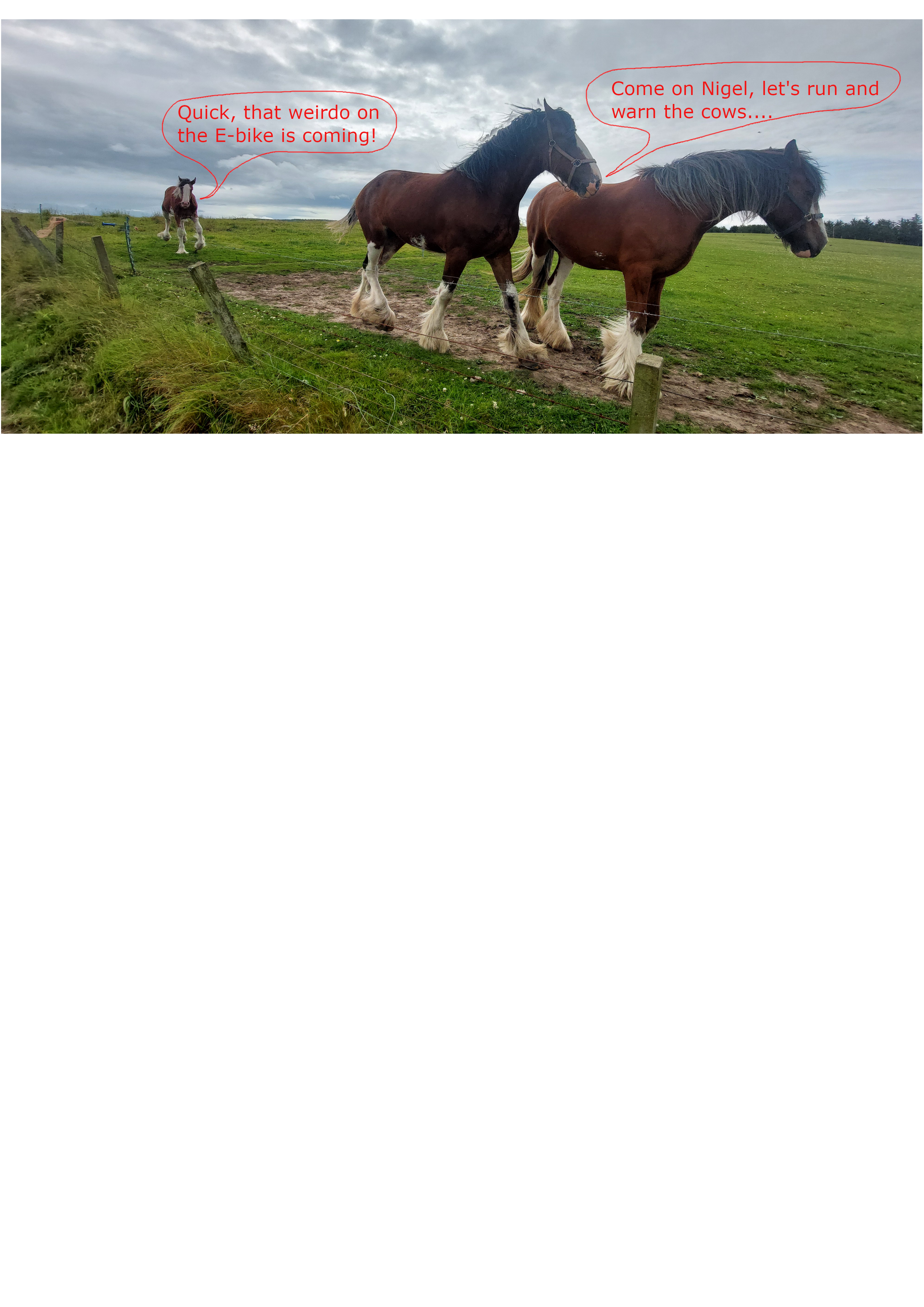 Horses.png